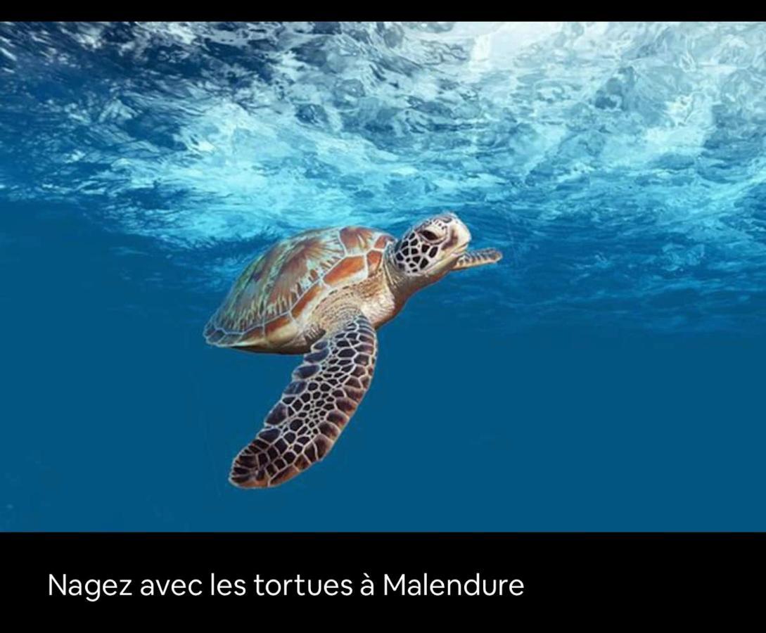 Gite Ti Papiyon Bouillante Luaran gambar